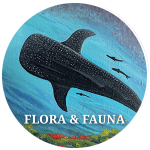 Flora & Fauna