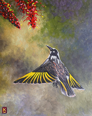 Eye On The Prize - New Holland Honey Eater