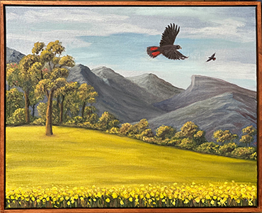 Across the valley, towards the Stirlings