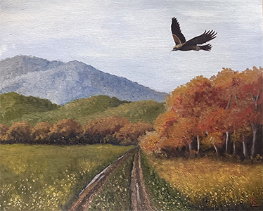 Wedgetail Soaring Over Mountain Country